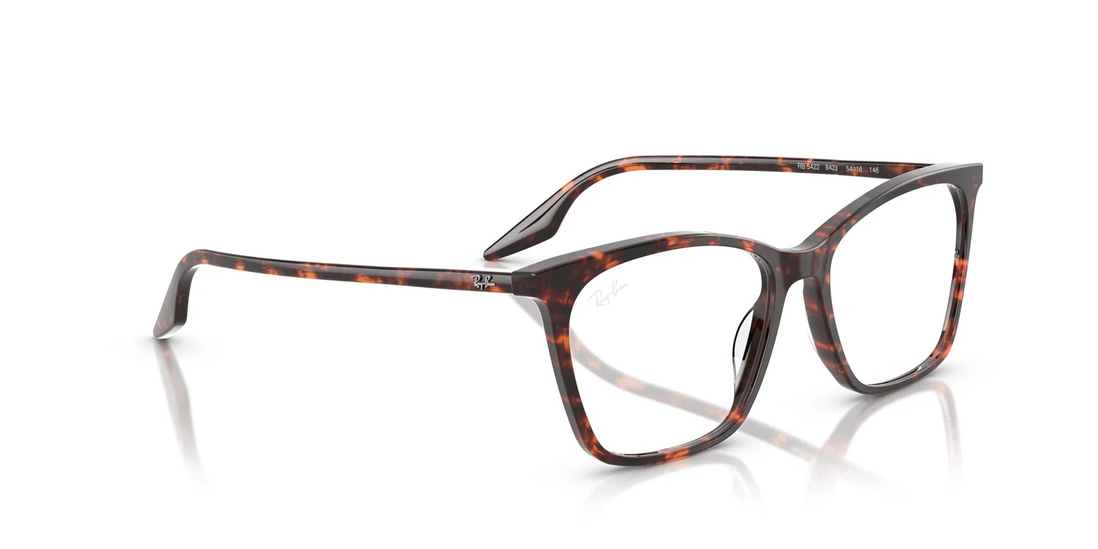 Ray-Ban 5422 Eyeglasses - view 40
